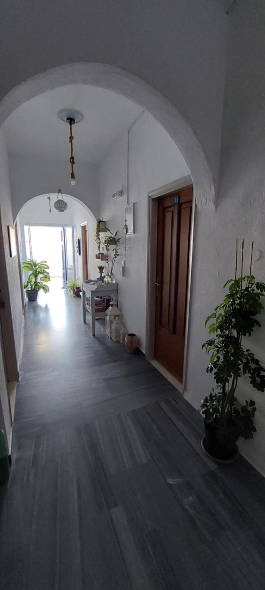 קטאפולה Kalliopis Rooms מראה חיצוני תמונה